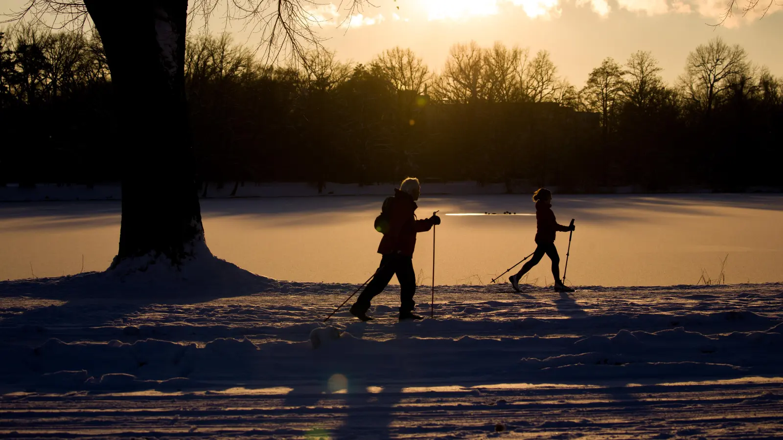 Langlaufloipen sind zerstört worden – was zu Ärger führte.  (Symbolbild: Daniel Karmann)