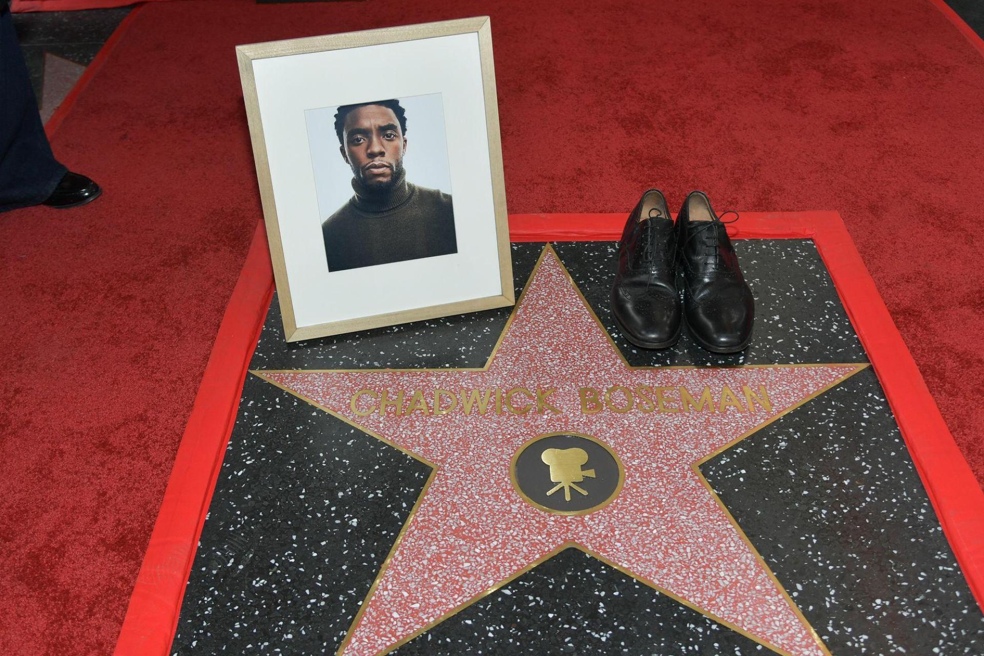 Im August 2020 starb der „Black Panther“-Star an Krebs.  (Bild: Richard Shotwell/Invision/AP/dpa)