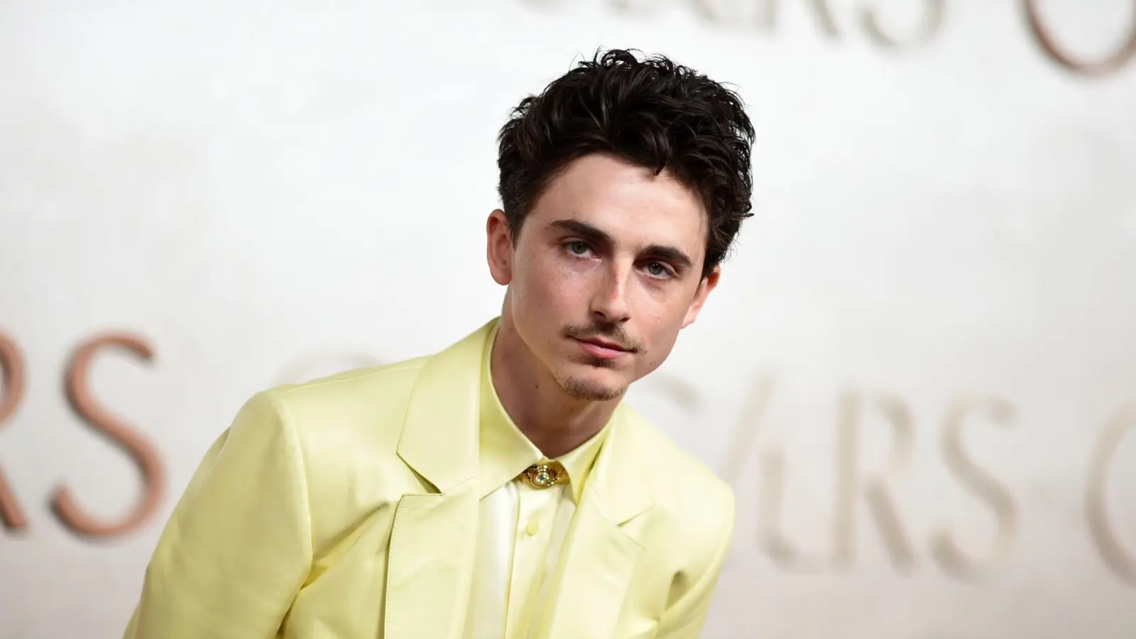 Timothée Chalamet hat ein wildes Promo-Video für seinen Film veröffentlicht. (Archivbild: Richard Shotwell/Invision/dpa)