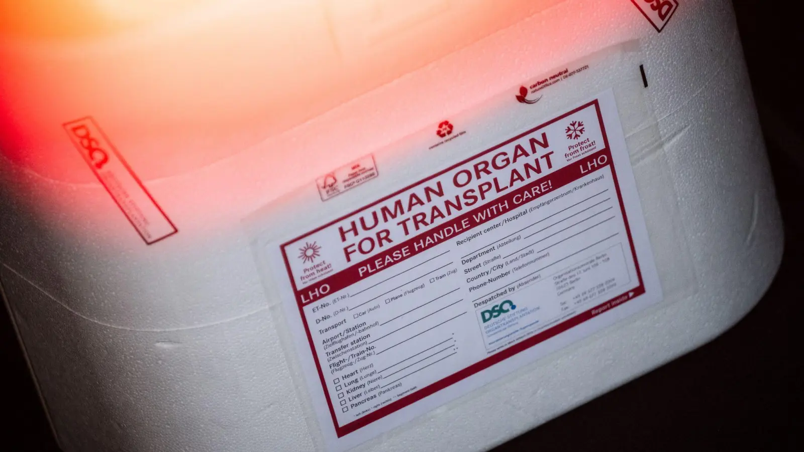 Die Zahl der Organspender in Bayern ist leicht rückläufig. (Symbolbild: Sebastian Gollnow/dpa)