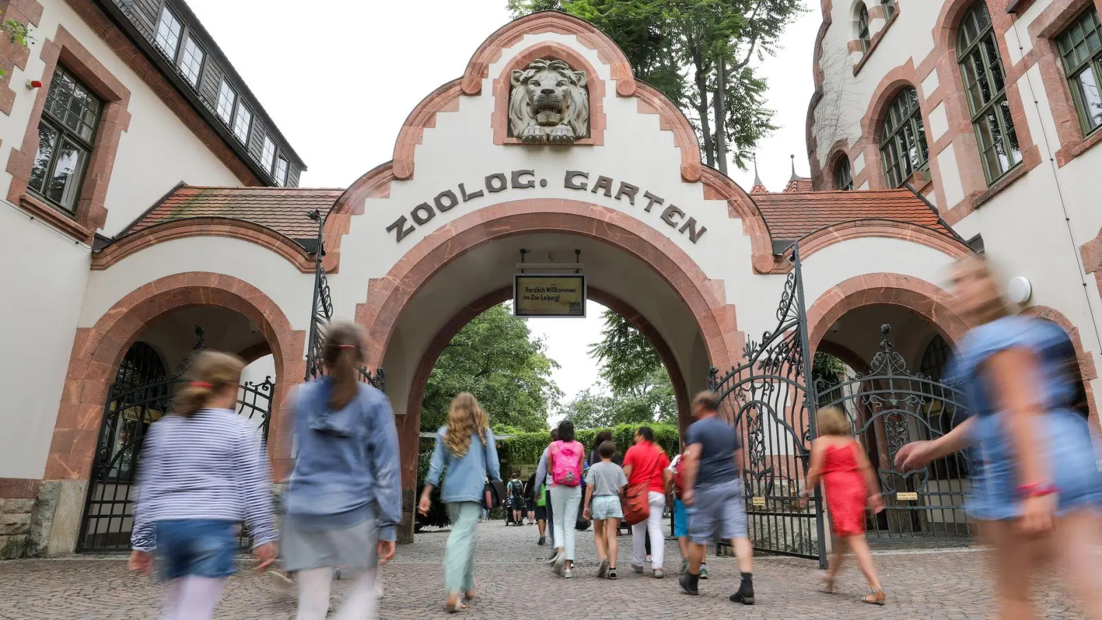 Der Leipziger Zoo hat drei Tigerbabys eingeschläfert. (Archivbild) (Bild: Jan Woitas/dpa-Zentralbild/ZB)