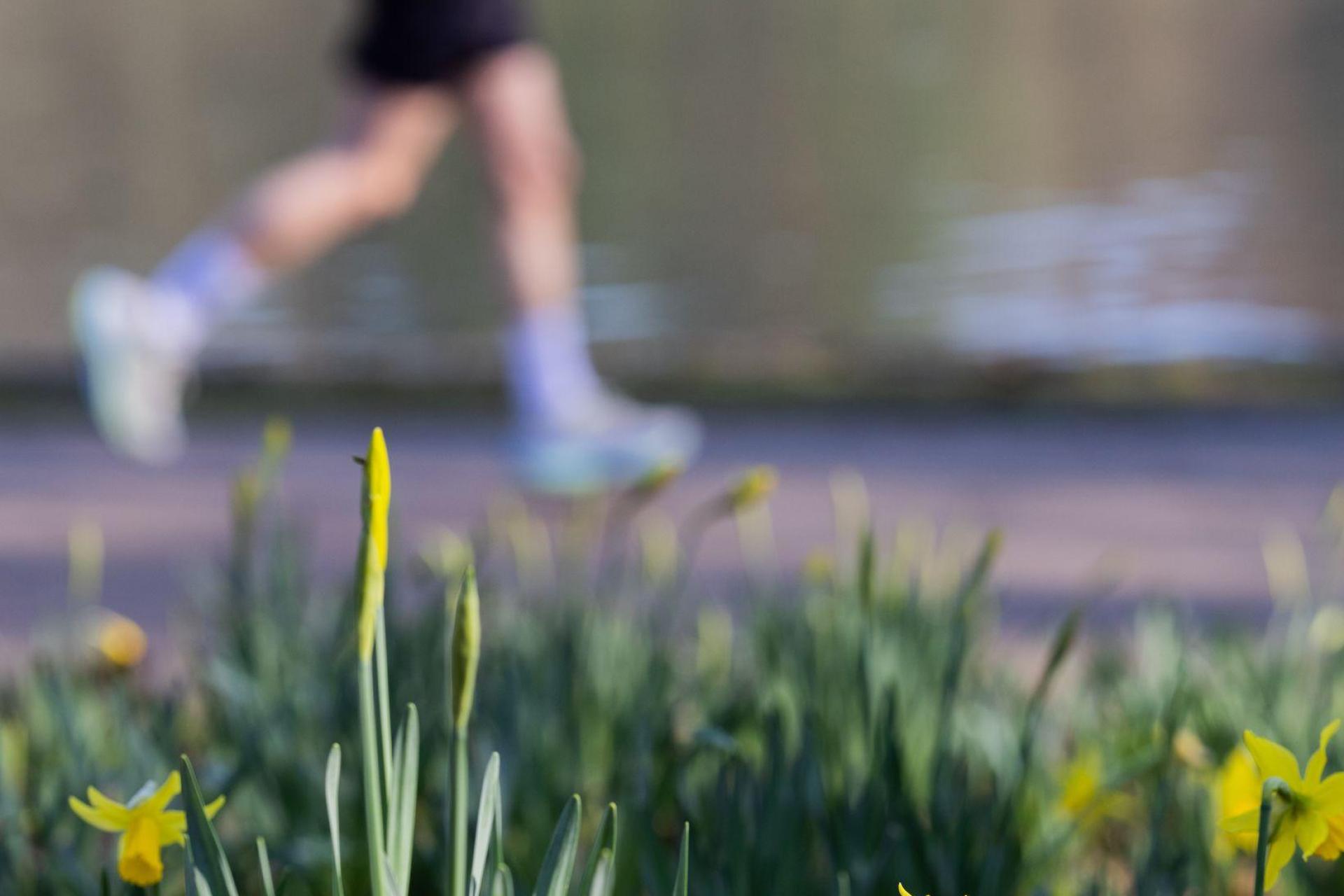 Der Frühling ist die perfekte Zeit, um eine neue Sportart auszuprobieren. (Bild: Rolf Vennenbernd)