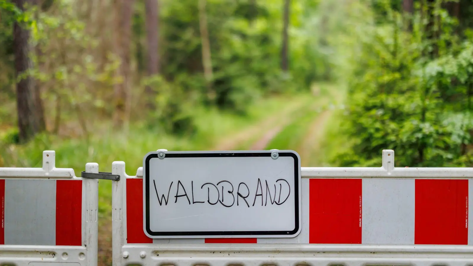 In mehreren Waldstücken hat es am Mittwoch gebrannt: Unter anderem bei Schwandorf und Dießfurt.  (Symbolbild: Daniel Karmann/dpa)