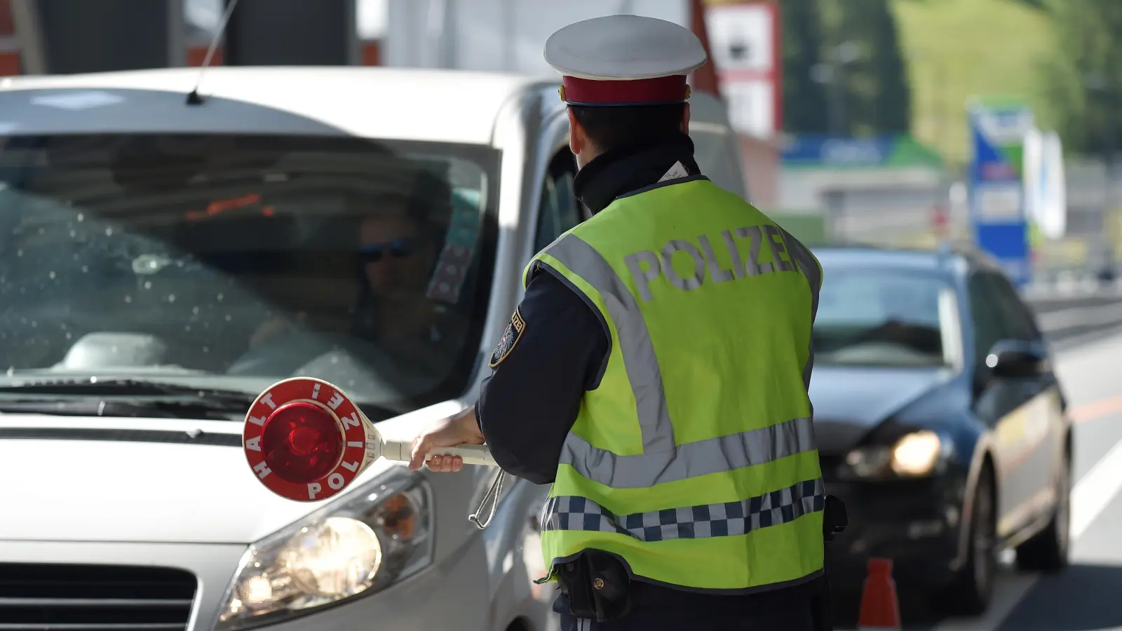 Die Grenzpolizei Waidhaus entdeckt bei Kontrolle auf der A6 einen Hund mit gefälschtem Impfausweis. (Symbolbild: Angelika Warmuth/dpa)