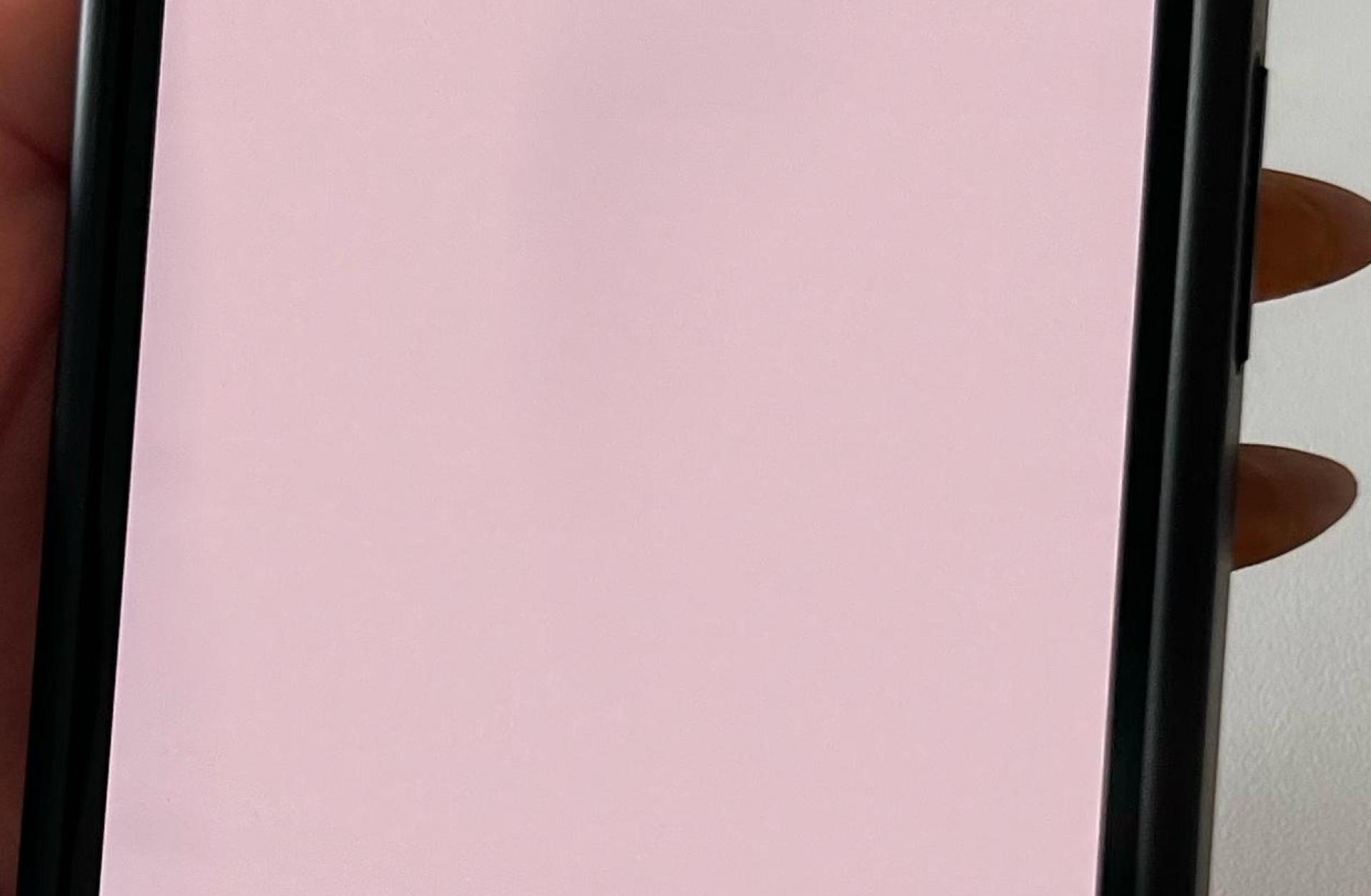 Die Weiden24-App auf einigen Geräte bei deaktiviertem Tracking.  (Bild: Nina Ware)