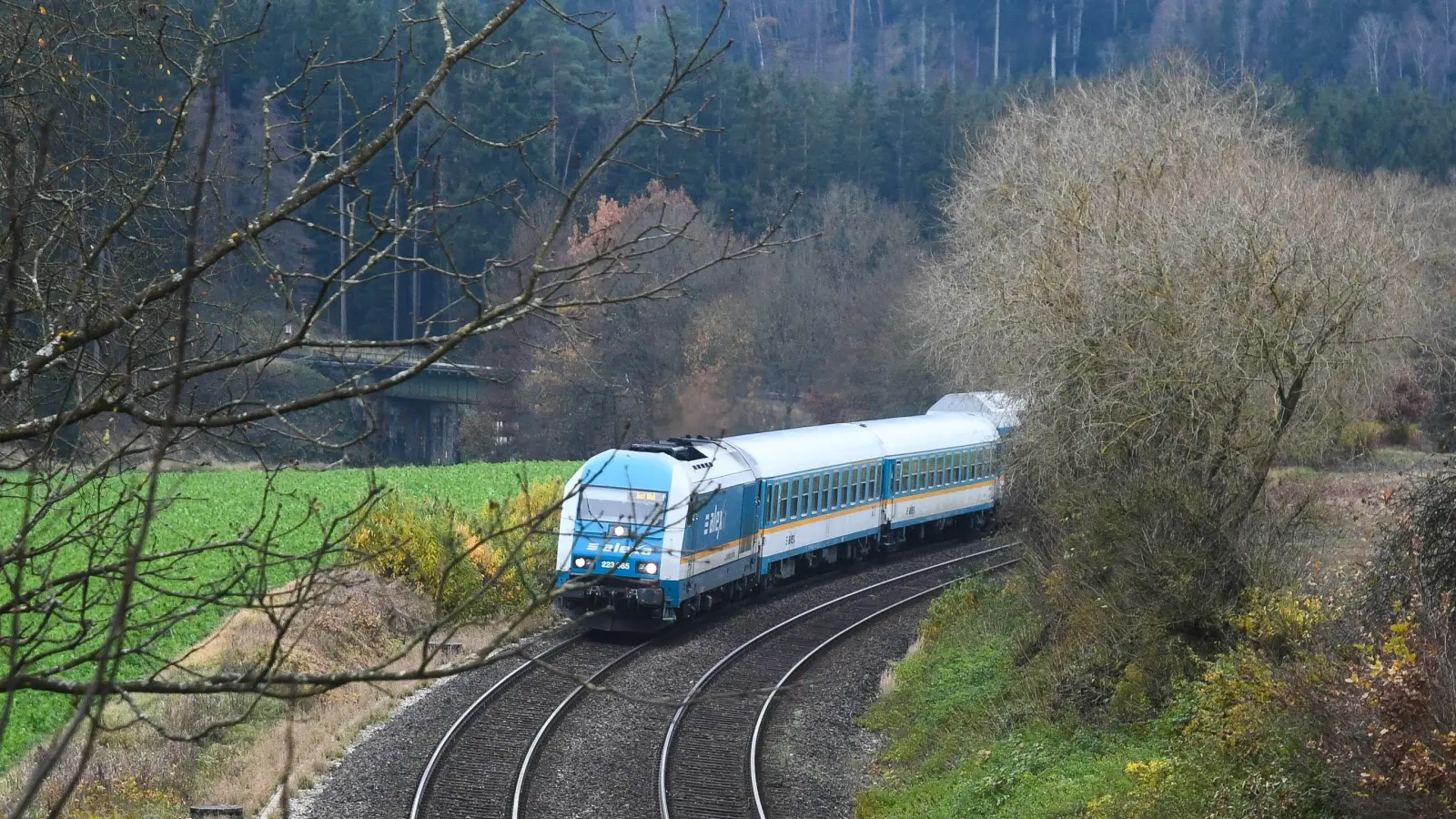 Alex und Oberpfalzbahn fallen in den nächsten Tagen häufiger aus  (Bild: Gabi Schönberger)