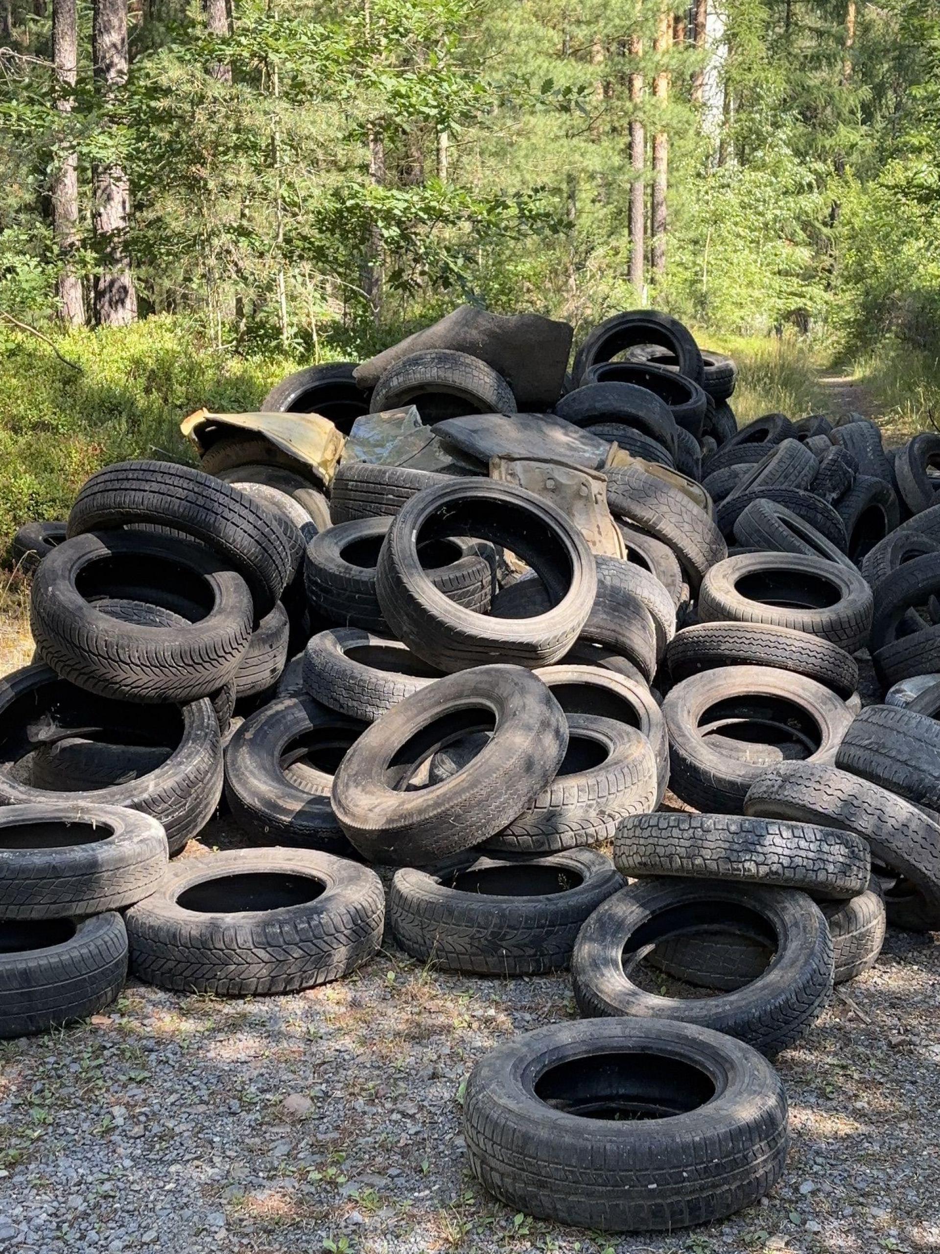 Diesen Haufen Altreifen hat ein Spaziergänger im Wald bei Parkstein entdeckt. (Bild: Polizeiinspektion Neustadt/Waldnaab)