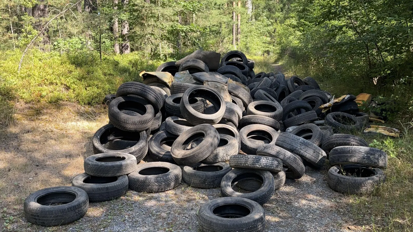 Diesen Haufen Altreifen hat ein Spaziergänger im Wald bei Parkstein entdeckt. (Bild: Polizeiinspektion Neustadt/Waldnaab)