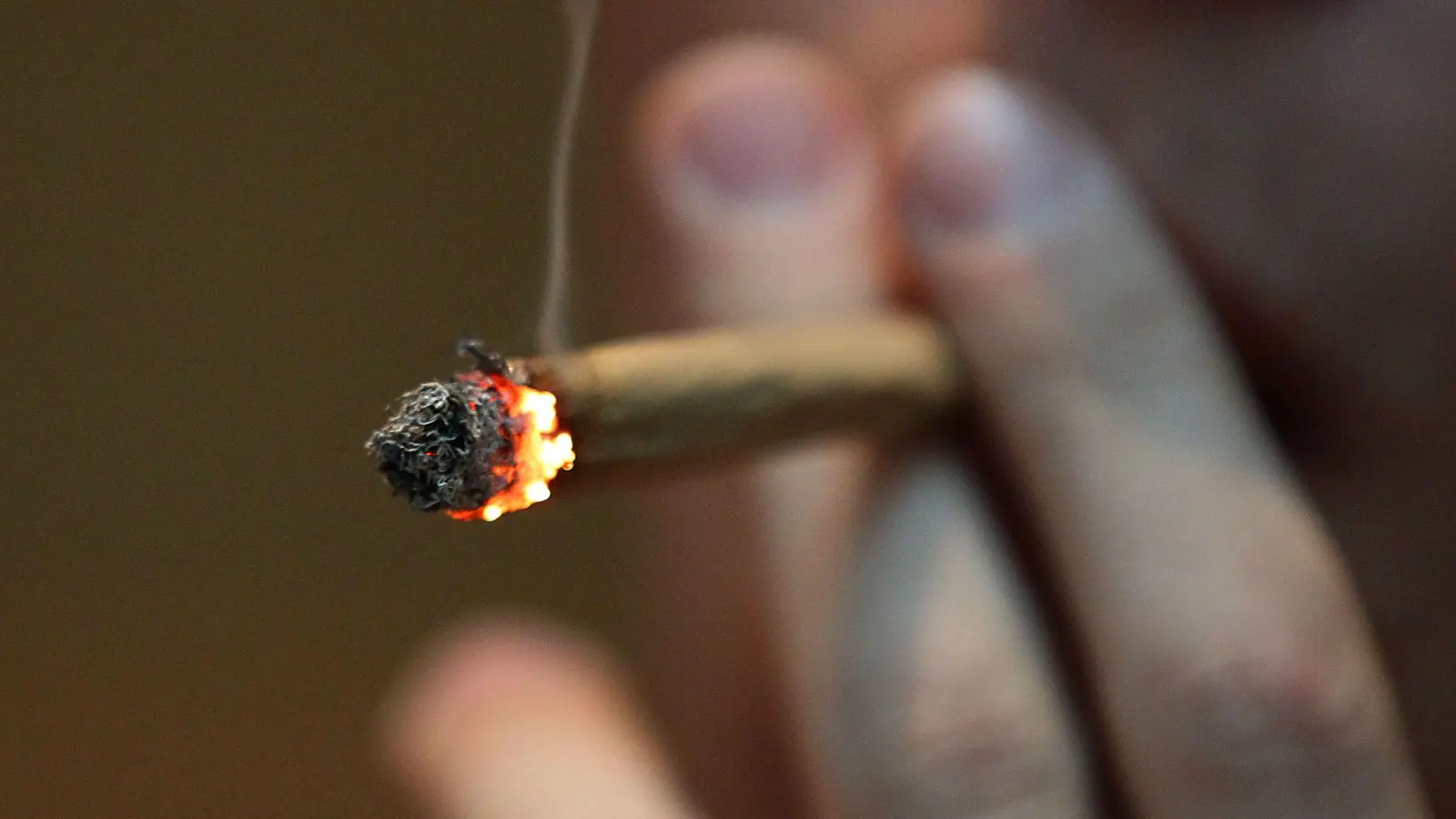 Ein Fahrgast eines Reisebusses muss sich wegen der Einfuhr von Marihuana strafrechtlich verantworten. (Symbolbild: Oliver Berg/dpa)