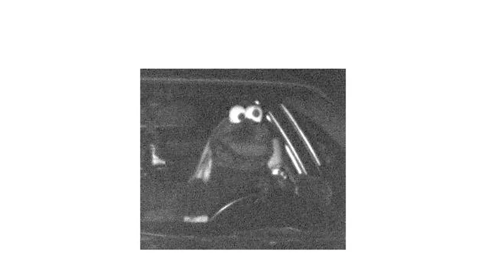 Lustiges Blitzerfoto: Ein Autofahrer war im Kostüm wie aus der Muppetshow zu schnell unterwegs. (Bild: Polizei Dortmund)