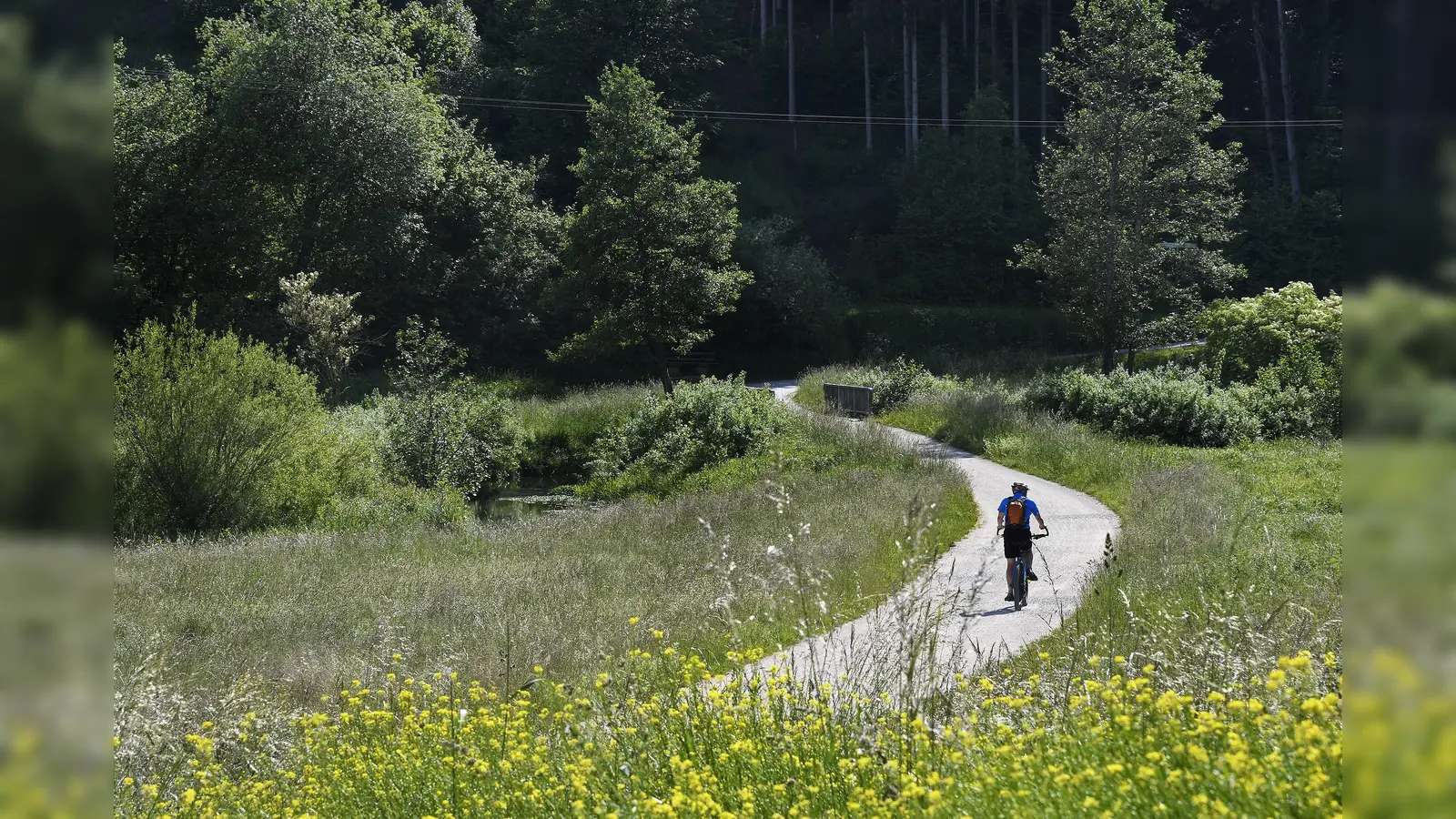 Der Radweg zwischen Windischeschenbach und Neustadt/WN wird bald fertig gestellt.  (Symbolbild: Petra Hartl)