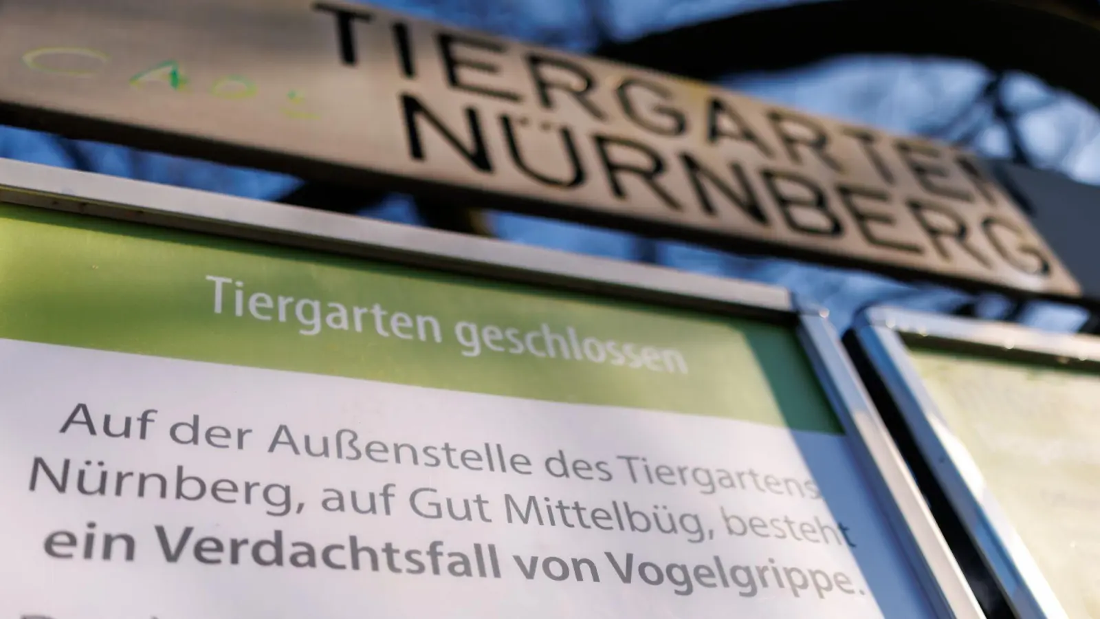Wegen Vogelgrippe-Fällen bei Weißstörchen ist der Tiergarten Nürnberg aktuell geschlossen. (Bild: Daniel Karmann/dpa)