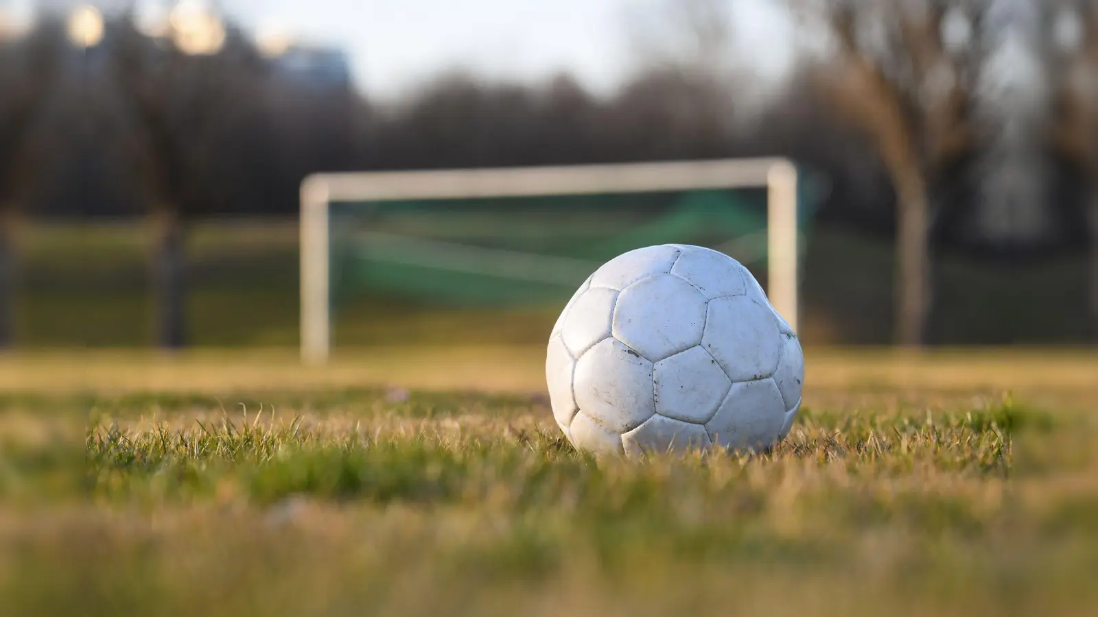 Was denken eigentlich die Zuschauer so von den Stadien der Region? (Bild: Tobias Hase/dpa)