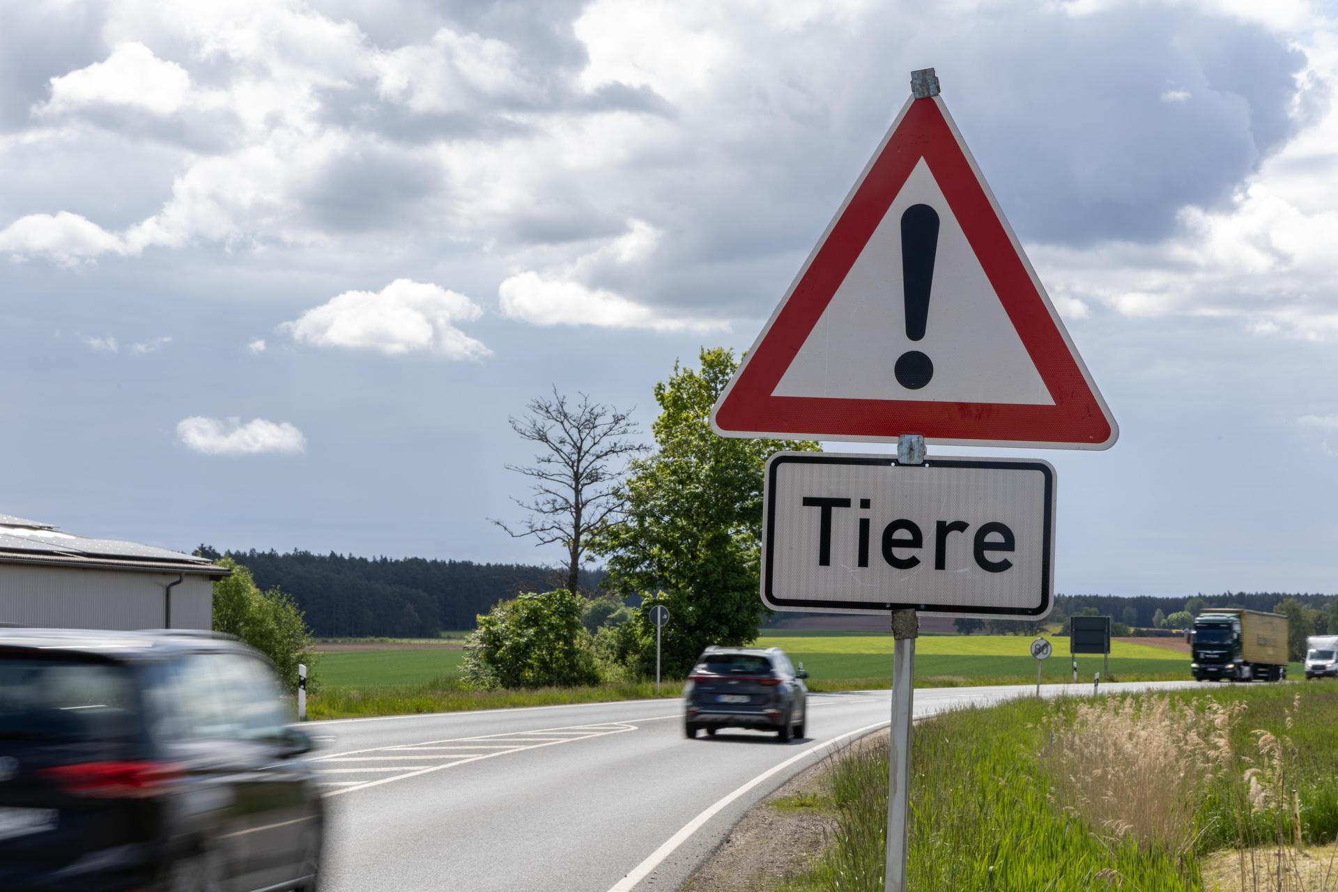 Am Ortsausgang von Kastl bei Kemnath macht dieses Warnschild „Tiere” die Verkehrsteilnehmer auf die ausgebüxten Rinder aufmerksam. (Bild: Roland Wellenhoefer)