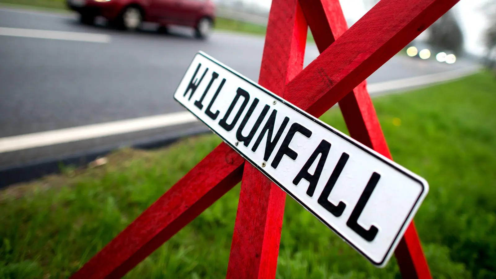 Mit Beginn der Jagdsaison steigt das Risiko für Wildunfälle in der Oberpfalz. Die Polizei gibt Tipps zur Vermeidung und richtigem Verhalten nach einem Unfall. (Symbolbild: Hauke-Christian Dittrich/dpa)