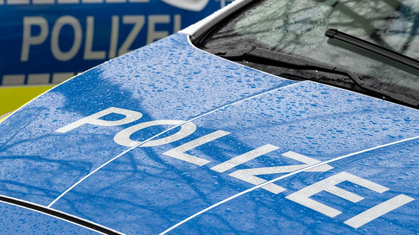 Nach der Zerstörung eines Reifens an einem BMW sucht die Polizei nach Zeugen. (Symbolbild: Soeren Stache/dpa)