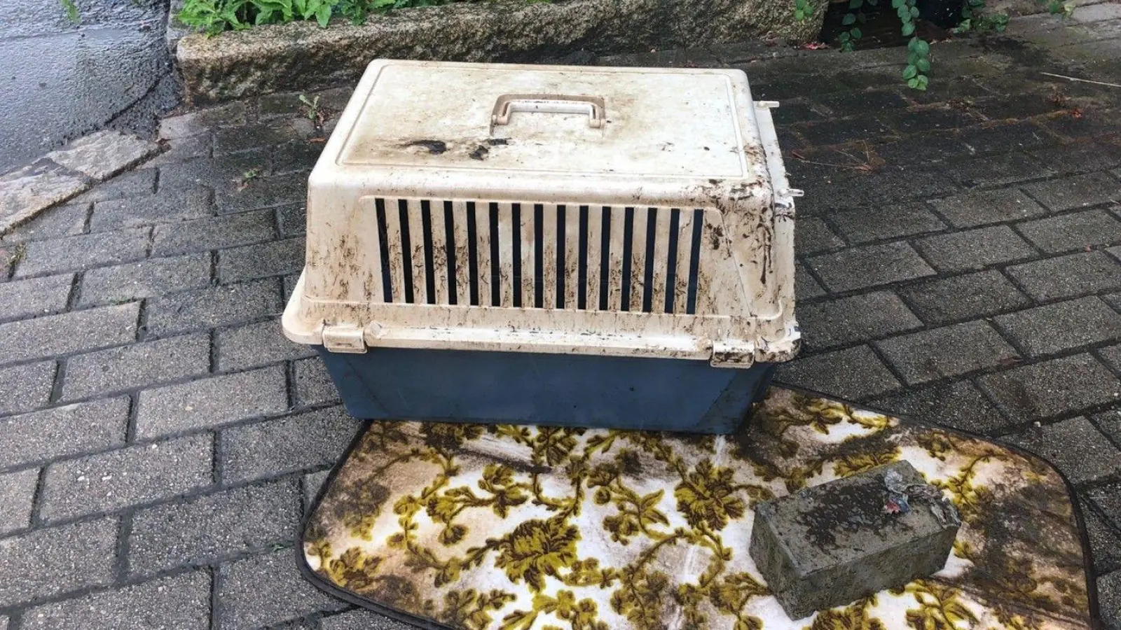 In dieser Box hat die Polizei die tote Katze gefunden. (Bild: Stadt Weiden)