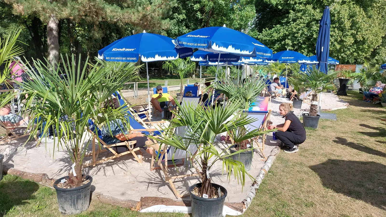 In Weiden herrscht Sommerfeeling: Liegestühle, Palmen und Sand verwandeln einen Teil des Realschulsportplatzes in eine kleine Urlaubsecke. (Bild: Helmut Kunz)