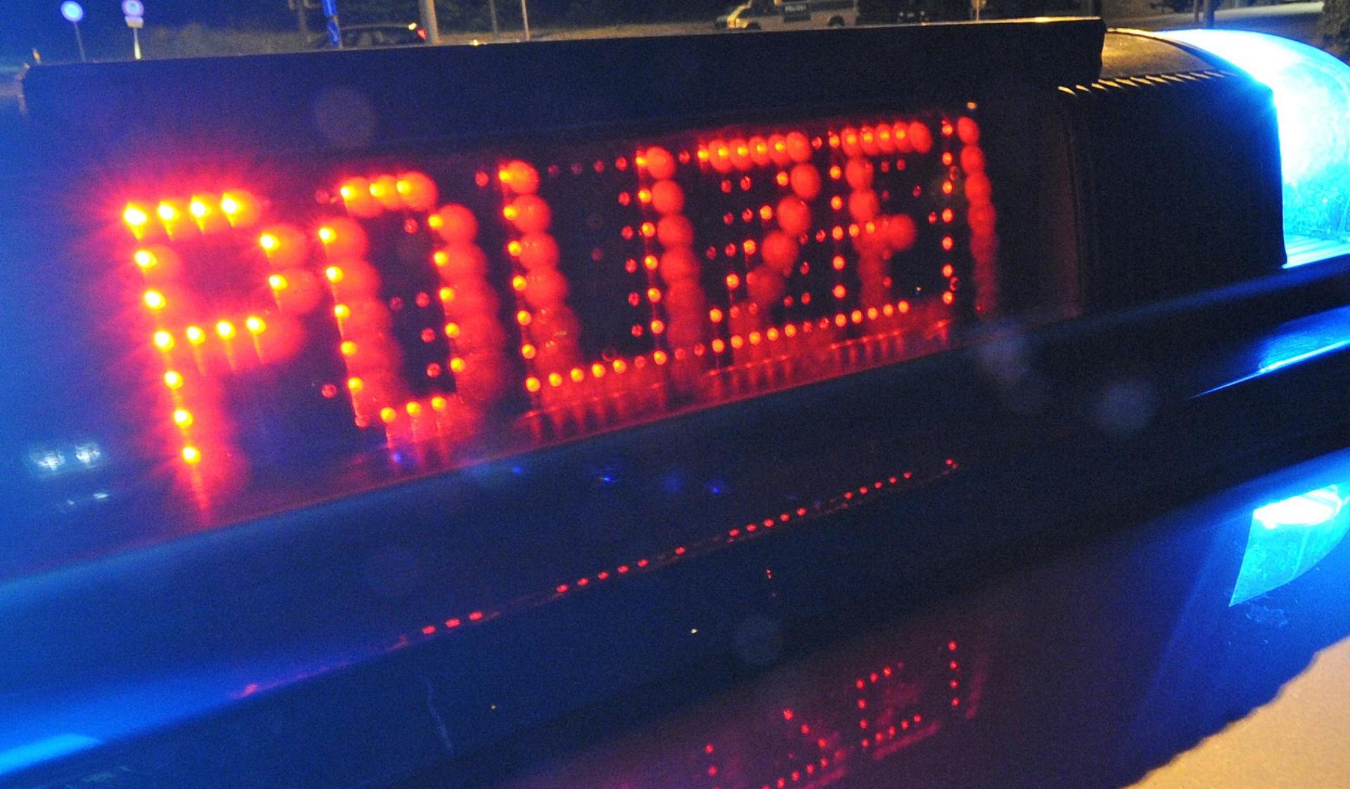 Die Autobahnpolizeistation Schwandorf entdeckte bei einer Fahrzeugkontrolle auf der A 93 bei Schwarzenfeld elf Hundewelpen in einem Kofferraum. (Symbolbild: Patrick Seeger/dpa)