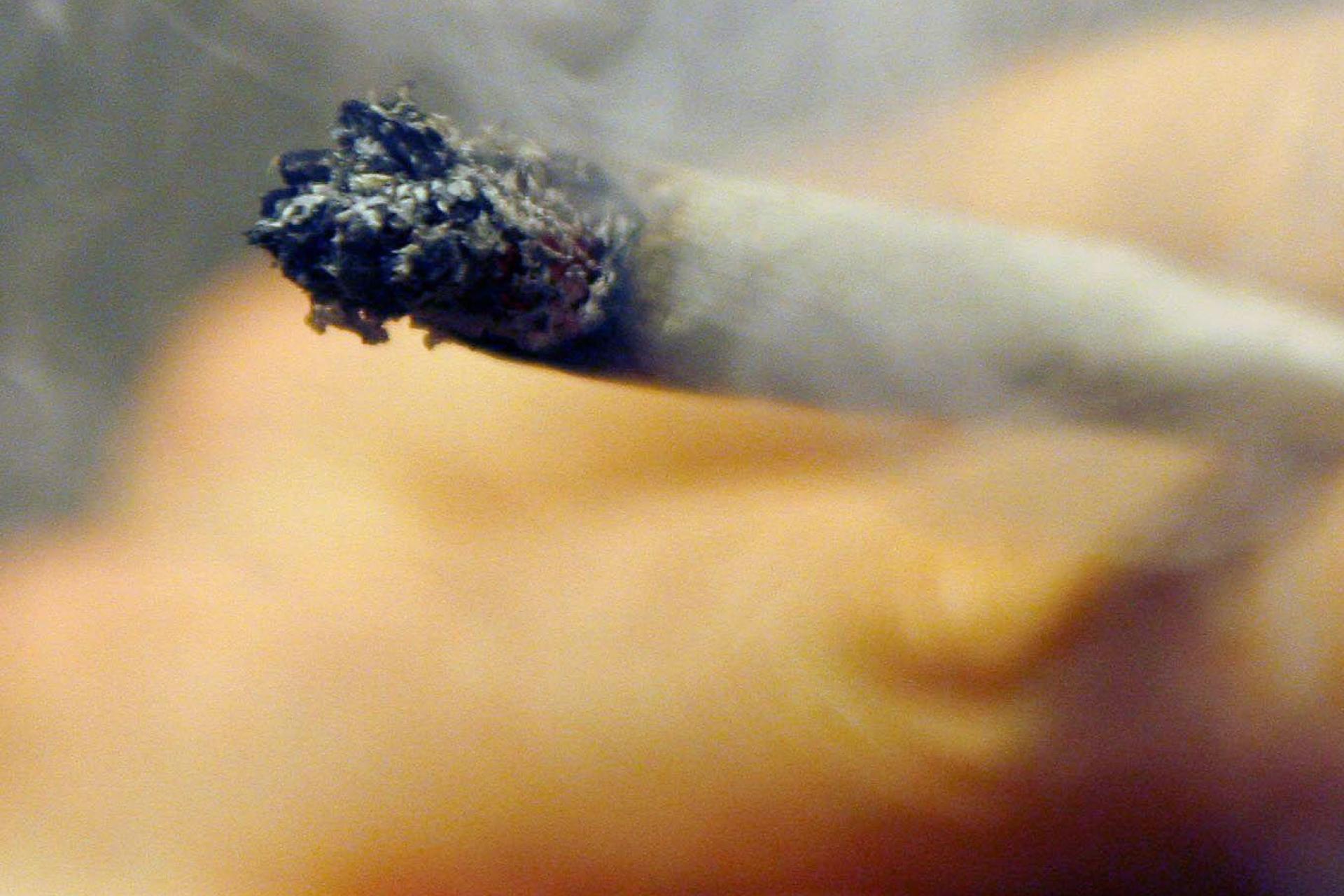 Ein 19-Jähriger wurde in Regensburg mehrfach beim Handel mit Marihuana erwischt und sitzt nun in Untersuchungshaft. (Symbolbild: Daniel Karmann/dpa)