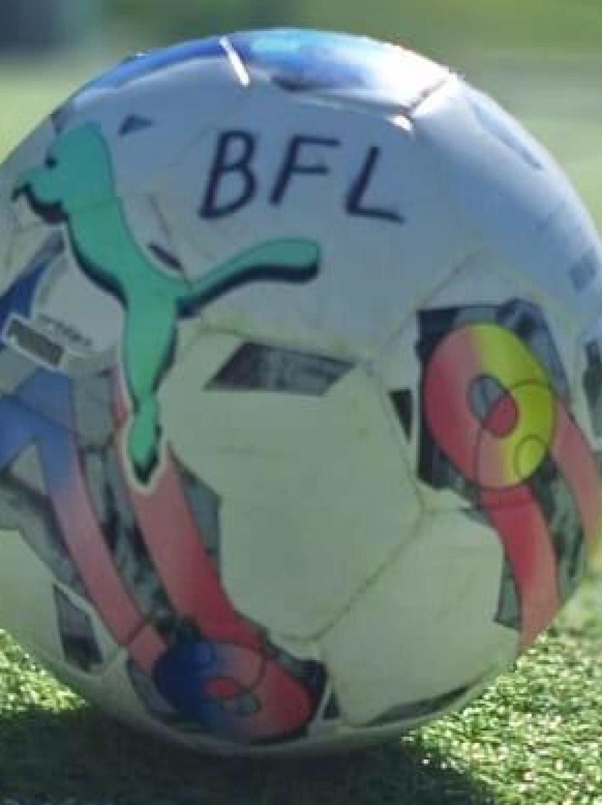 Das Team Bananenflanke lädt zum inklusiven Fußballspieltag nach Neustadt/Waldnaab ein. (Bild: Carina Völkl/Team Bananenflanke)