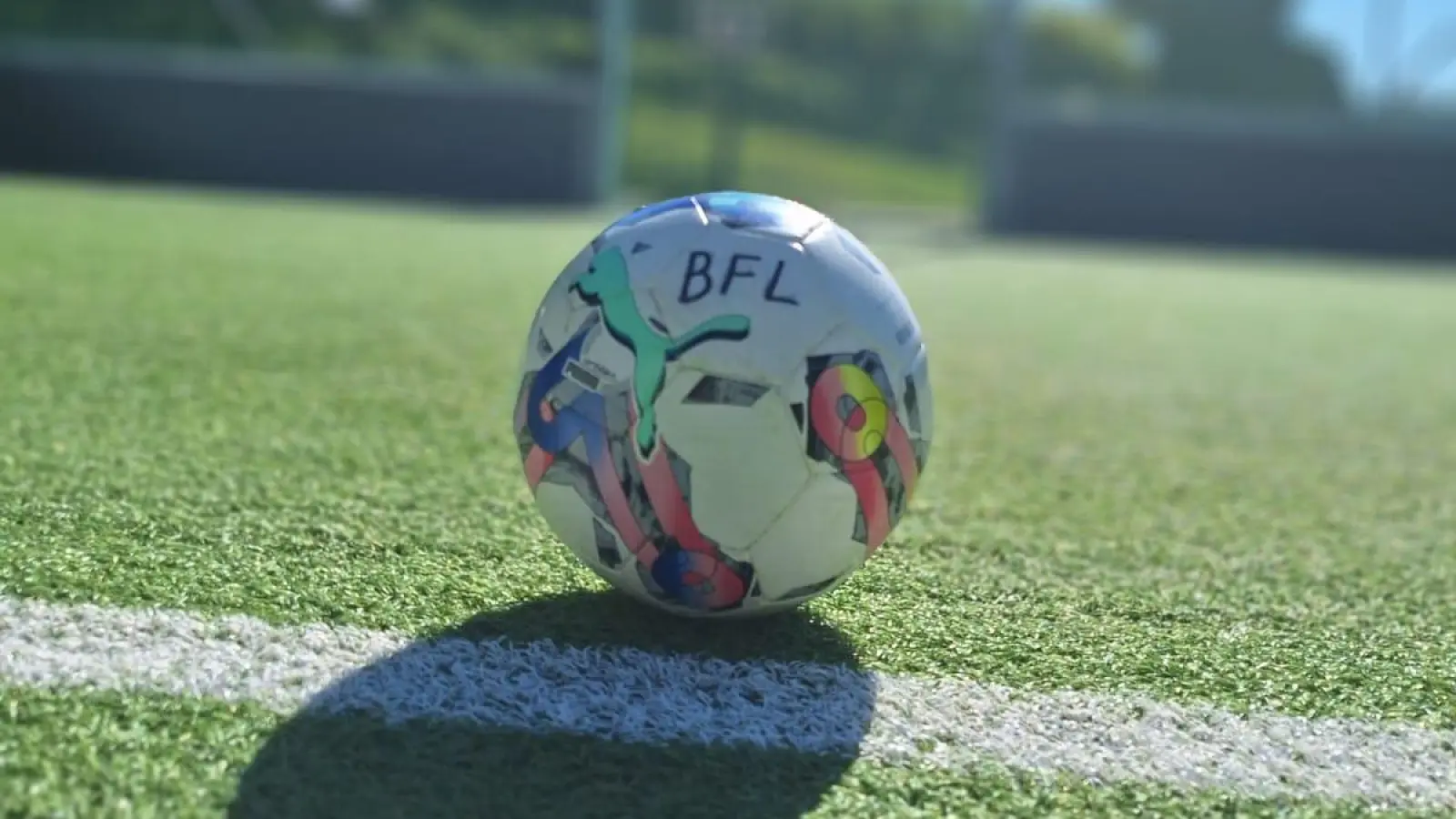 Das Team Bananenflanke lädt zum inklusiven Fußballspieltag nach Neustadt/Waldnaab ein. (Bild: Carina Völkl/Team Bananenflanke)