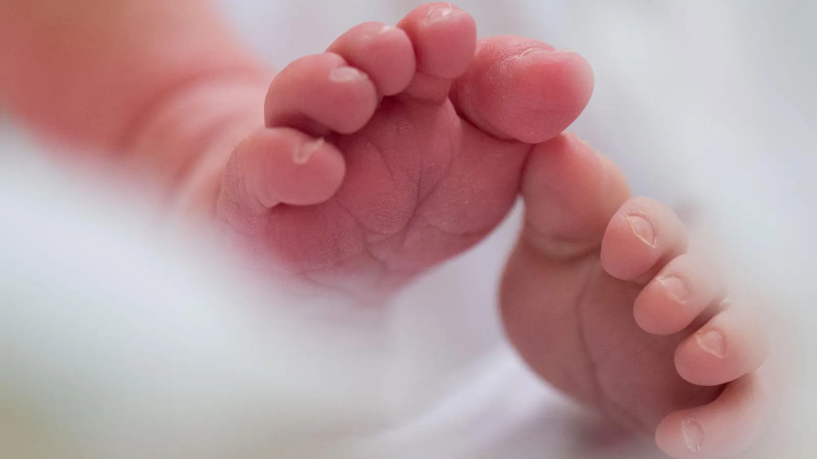 In vielen Ländern ist die Geburtenrate in den vergangenen Jahrzehnten stark gesunken. Die Arbeit im Heimbüro könnte den Rückgang laut einer neuen Studie möglicherweise etwas bremsen. (Symbolbild) (Bild: Arno Burgi/dpa-Zentralbild/dpa)