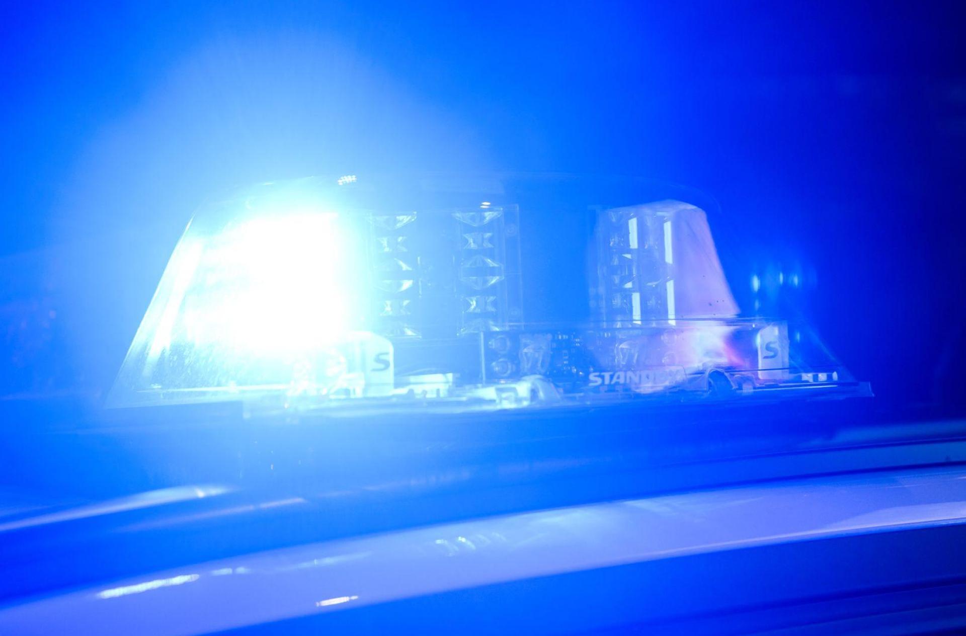 In Flossenbürg wurde ein Bogenschützenziel in Form einer Eule gestohlen. Die Polizei sucht nach Hinweisen. (Symbolbild: Silas Stein/dpa)