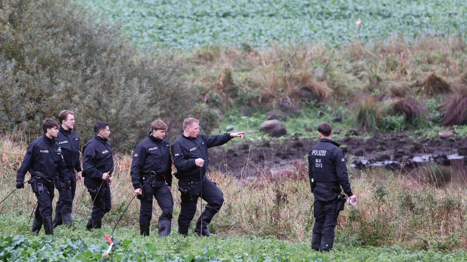 Die Obduktion des bei Güstrow gefundenen toten Kindes hat gezeigt, dass es Gewalteinwirkung ausgesetzt wurde. Nun wurde der Junge als Fabian identifiziert. (Archivfoto) (Bild: Bernd Wüstneck/dpa)