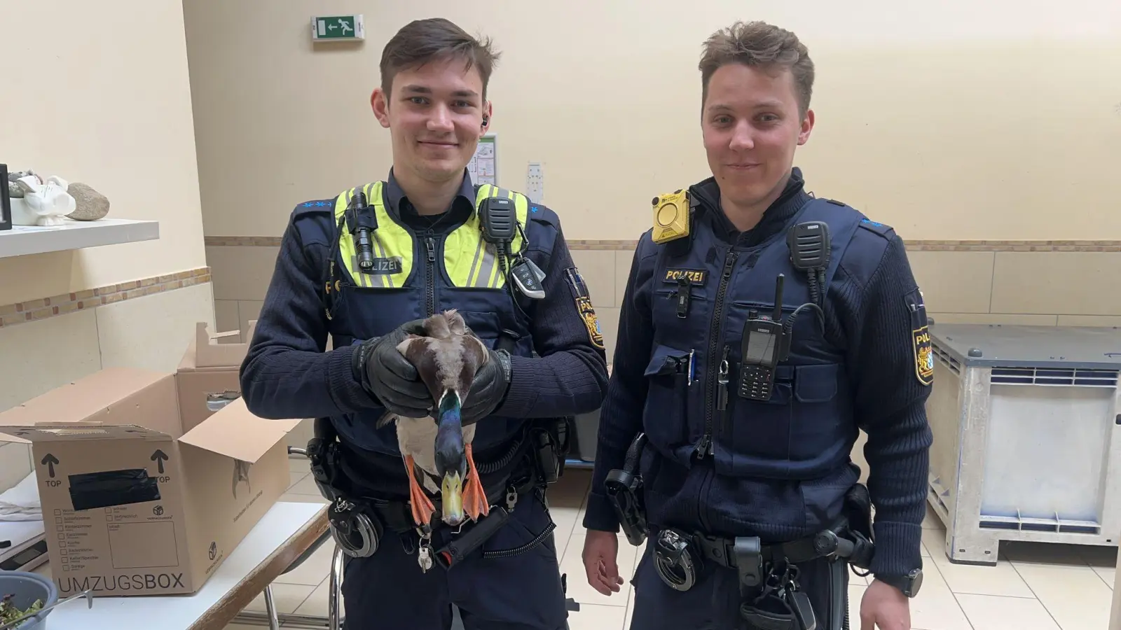 Die gerettete Ente kam ins Tierheim.  (Bild: Polizeipräsidium Mittelfranken)
