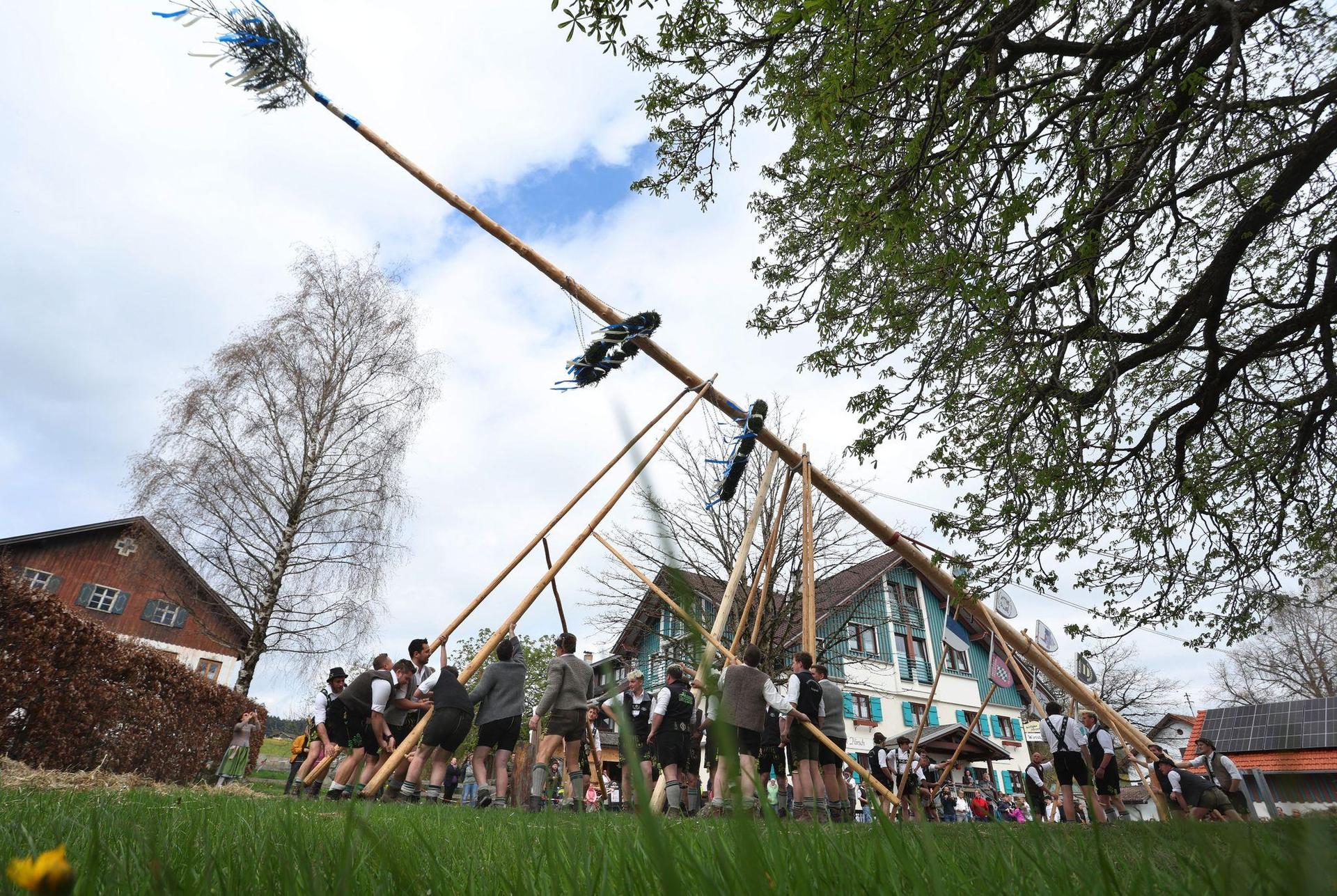 Beim Maibaumklauen gibt es ein paar Regeln zu beachten. (Bild: Karl-Josef Hildenbrand/dpa)