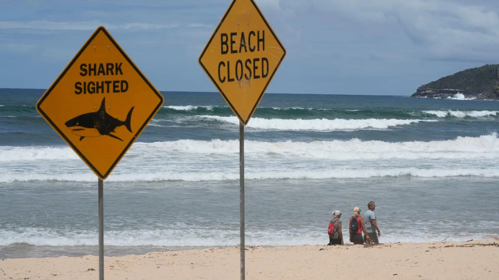 Innerhalb von nur wenigen Tagen wurden aus dem australischen Bundesstaat New South Wales vier Haiangriffe gemeldet. (Symbolbild: Rick Rycroft/AP/dpa)