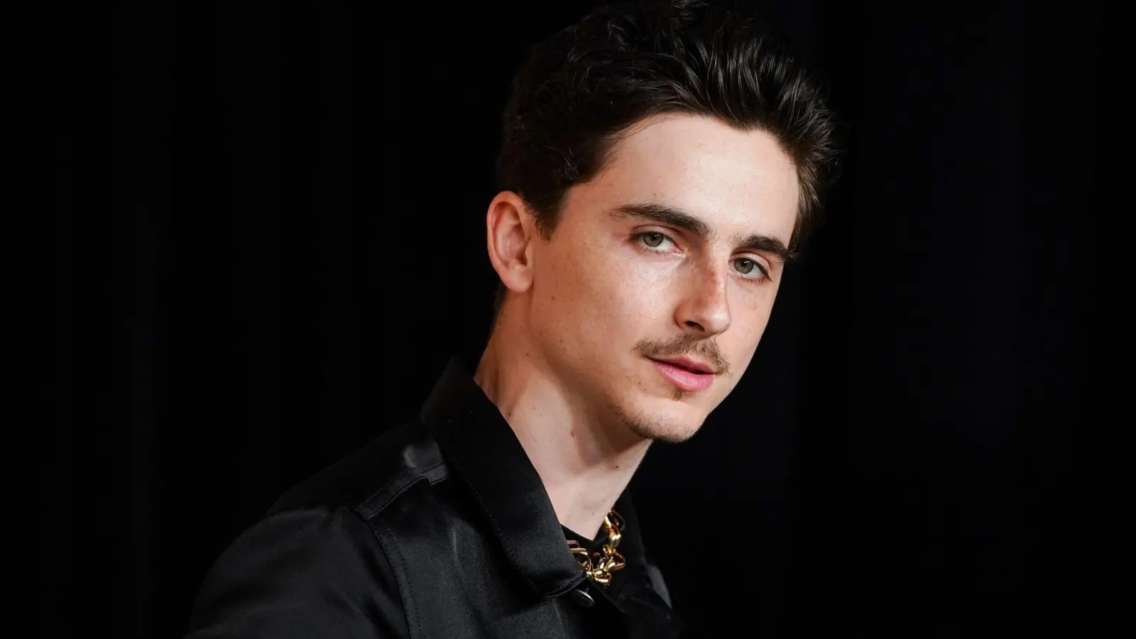Timothée Chalamet gilt aktuell als einer der gefragtesten Schauspieler Hollywoods (Archivbild). (Bild: Jordan Strauss/Invision/dpa)