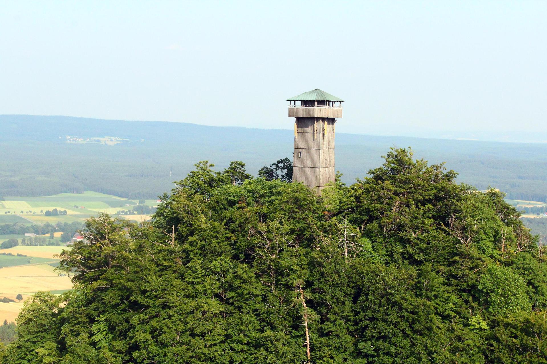 Ein Schwarm fliegender Ameisen sorgte am Rauhen Kulm für einen Feuerwehr-Einsatz.  (Bild: stg)