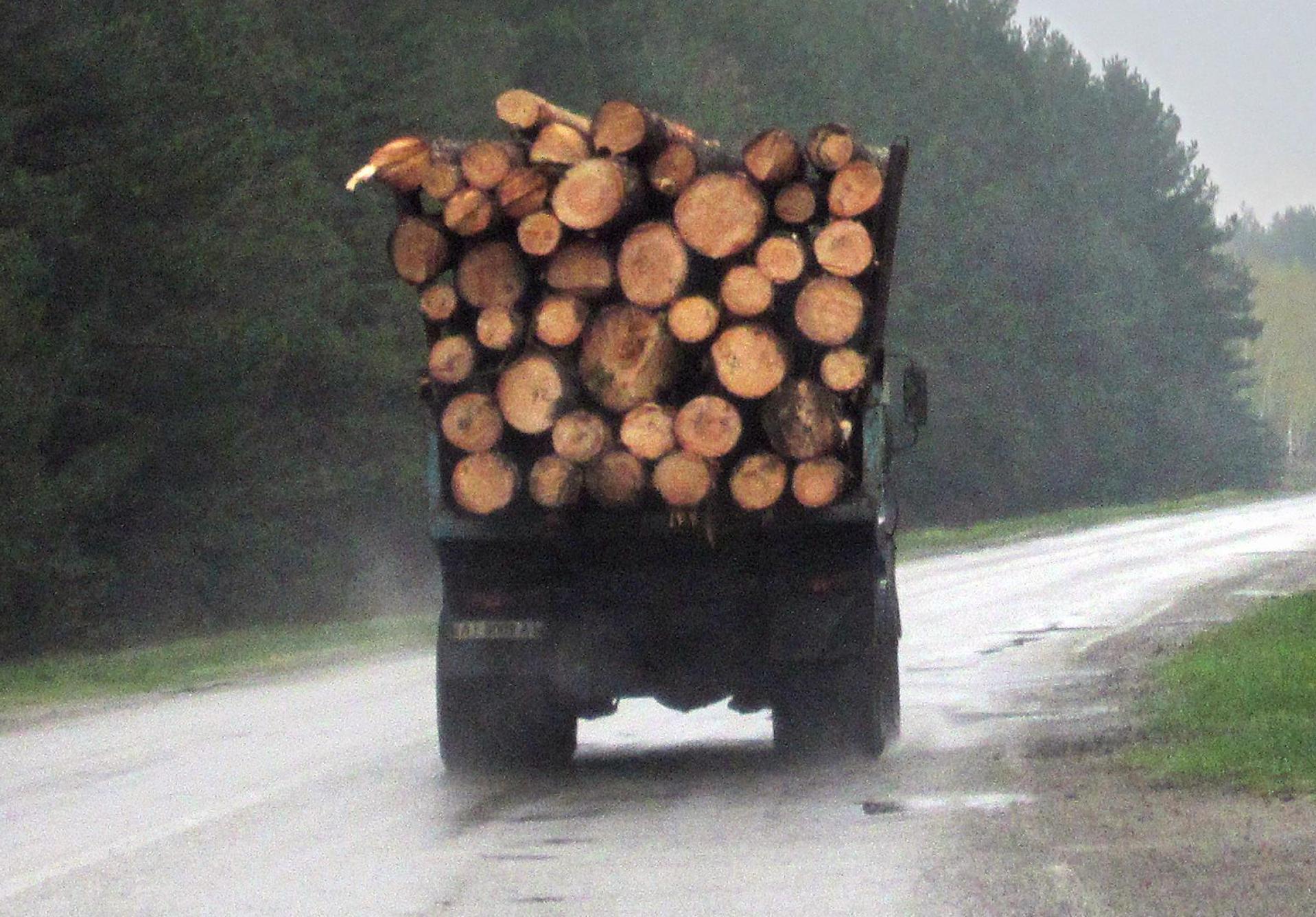 Die Polizei stoppte überladene Holztransporter in Bärnau und Plößberg. (Symbolbild: Andreas Stein/dpa)
