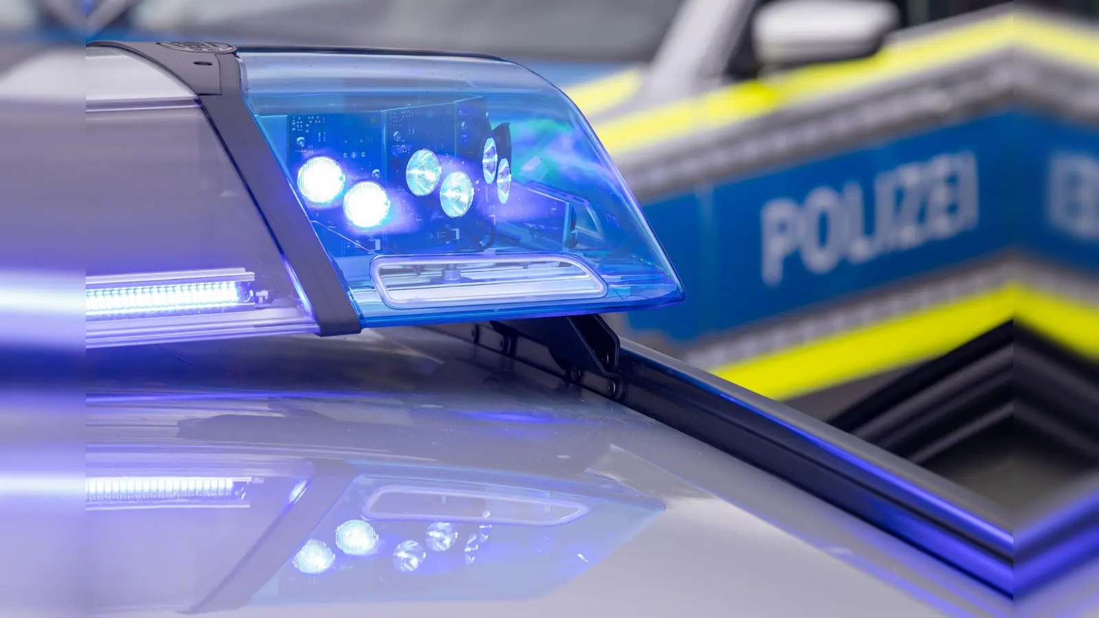Pressebericht der Polizeiinspektion Schwandorf: Zwei Hunde bei Schwandorf von Autos erfasst (Symbolbild: Daniel Karmann/dpa)